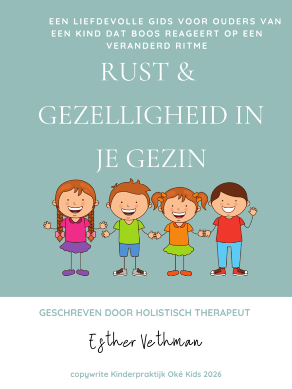 voorkant gids voor meer rust in gezin